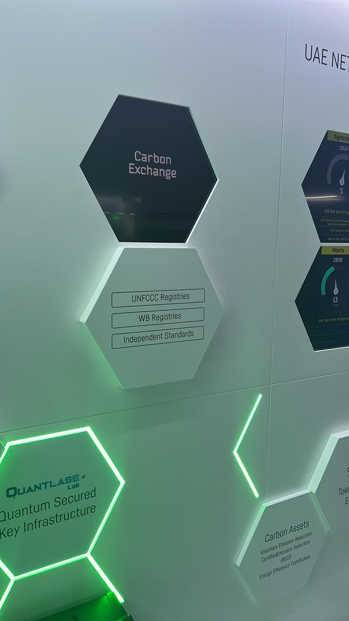 3. Hexagonal Sidewall Displays: